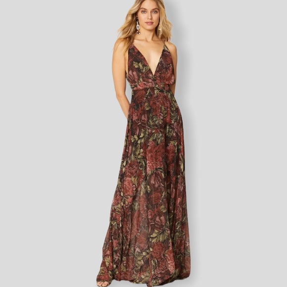 Ronny Kobo Collection Dresses & Skirts - Ronny Kobo Floral Print Deep V Chiffon Maxi Dress Small